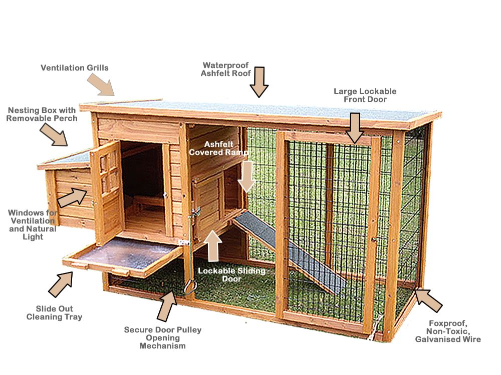 Hen's: Large chicken coop design ideas