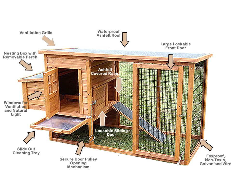 Free Printable Chicken Co-op Plans