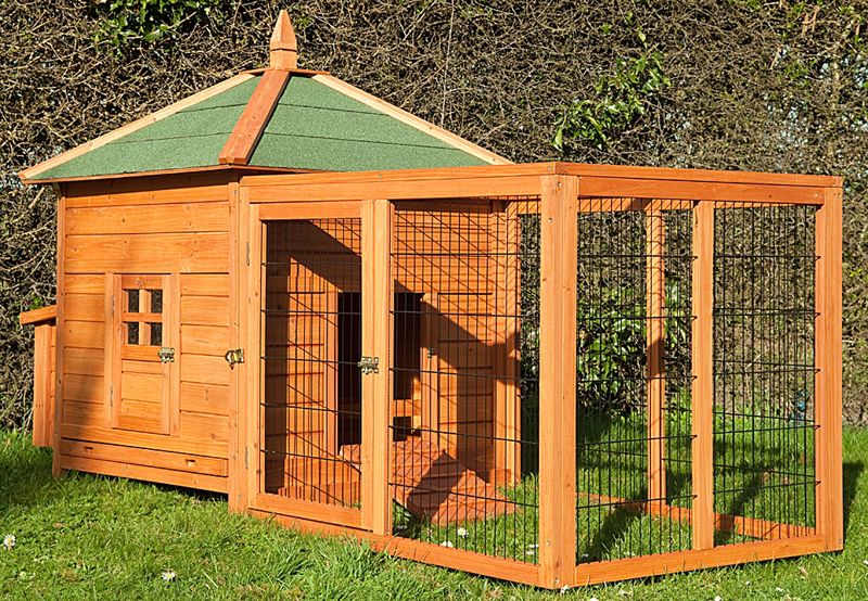 Dog Kennel And Run Quality Outdoor Dog House Dog Dog Breeds Picture Dog Kennel And Run Quality Outdoor Dog House Dog Dog Breeds Picture